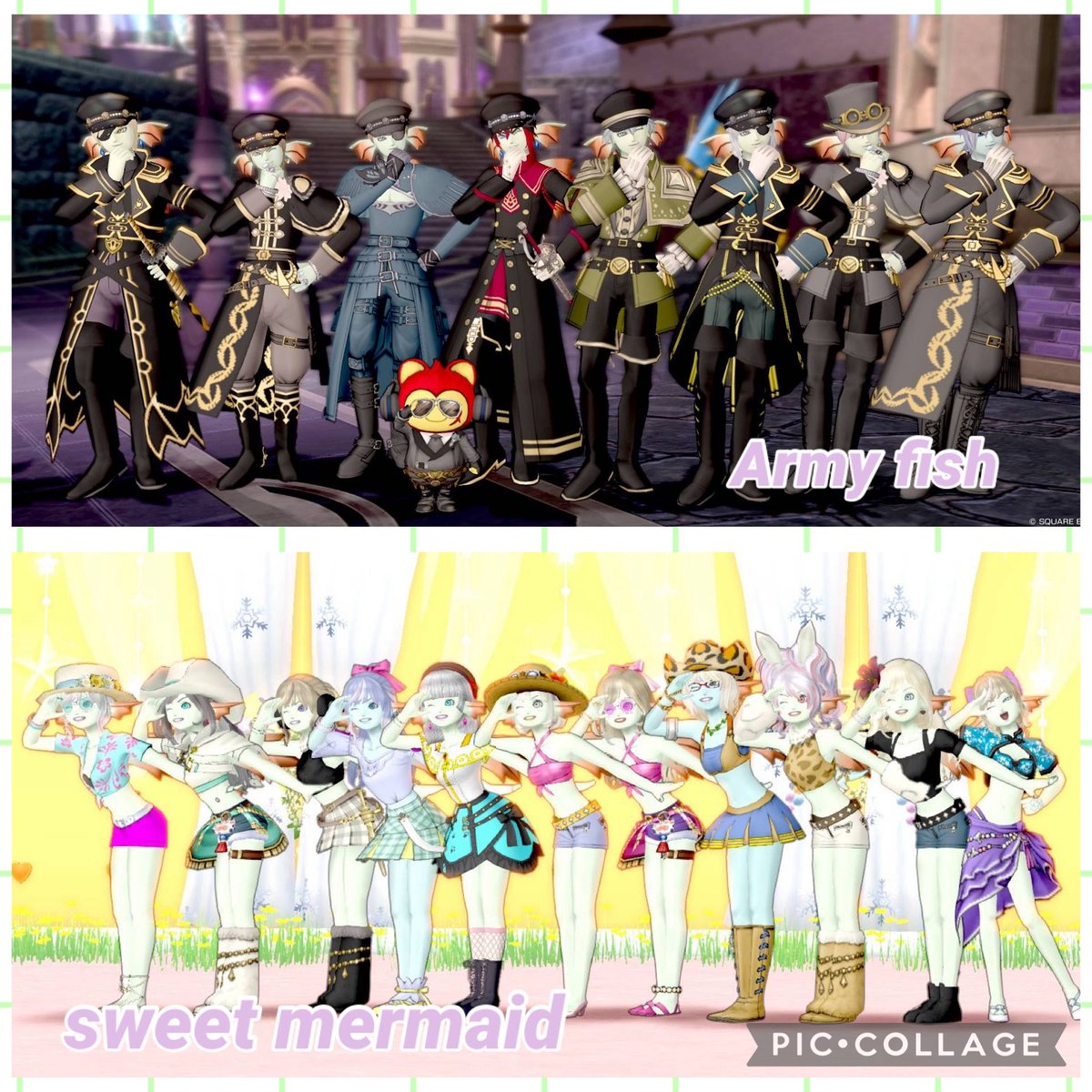 Army fishとsweet mermaidの名称付き集合写真を上下に並べた共通募集画像